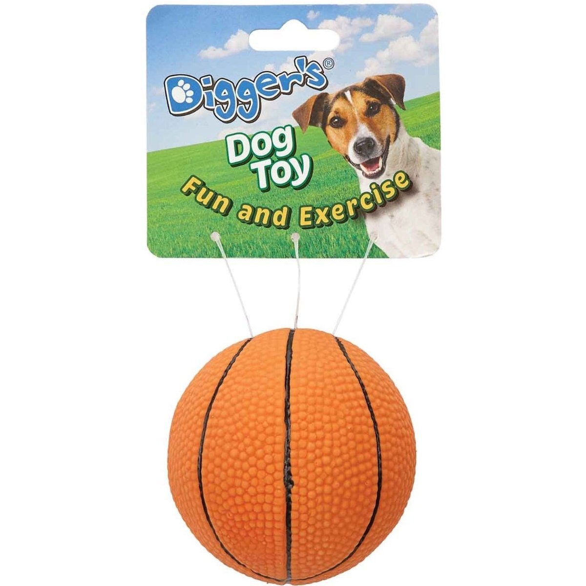 Digger's Latex Basketball Squeaky Dog Ball Toy