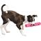 Show in main carousel: Digger's Crinkle Stuff Stick Dog Chew Toy, Pink slide 3 of 3