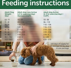 Nature's Protection Superior Care All Life Stages & Breeds Grain-Free Lamb Dry Dog Food, 22-lb bag slide 2 of 8