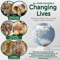 Nature's Protection Superior Care All Life Stages & Breeds Grain-Free Salmon & Krill Dry Dog Food, 22-lb bag slide 2 of 8