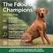 Show in main carousel: Nature's Protection Superior Care All Life Stages & Breeds Grain-Free Lamb Dry Dog Food, 22-lb bag slide 3 of 9