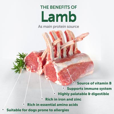 Show full view: Nature's Protection Superior Care All Life Stages & Breeds Grain-Free Lamb Dry Dog Food, 22-lb bag slide 4 of 9