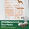 Show in main carousel: Nature's Protection Superior Care All Life Stages & Breeds Grain-Free Salmon & Krill Dry Dog Food, 22-lb bag slide 5 of 9