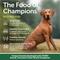 Show in main carousel: Nature's Protection Superior Care Puppy Small Breed Grain-Free Salmon & Krill Dry Dog Food, 3.3-lb bag slide 3 of 9