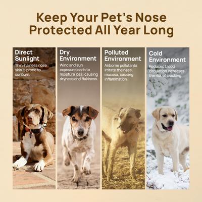 Show full view: HICC PET Nose Balm for Dogs & Cats, 0.53-oz slide 5 of 10