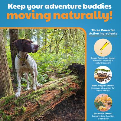 Show full view: VetHemp Mobility Broad-Spectrum Hemp Extract Hip & Joint Soft Chews for Dogs, 60 count slide 4 of 8