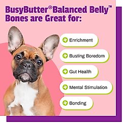 Pet Naturals BusyButter Balanced Belly Pumpkin & Probiotic Peanut Butter Flavored Dog Chews, Small, 22 count slide 2 of 9