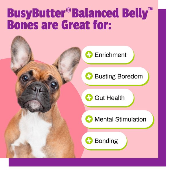 Pet Naturals BusyButter Balanced Belly Pumpkin & Probiotic Peanut Butter Flavored Dog Chews, Medium/Large