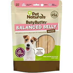 Pet Naturals BusyButter Balanced Belly Pumpkin & Probiotic Peanut Butter Flavored Dog Chews, Small, 22 count