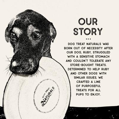 Show full view: Dog Treat Naturals Lamb & Date Superfood Fresh All Stages Natural Chews Sticks Treats, 10-oz bag slide 6 of 7