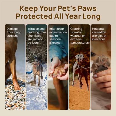 Show full view: HICC PET Paw Balm for Dogs & Cats, 0.53-oz slide 6 of 9