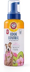 Arm & Hammer Products Dog Odor Control No-Rinse Foam, 16-oz