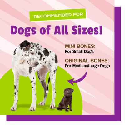 Show full view: Pet Naturals BusyButter Balanced Belly Pumpkin & Probiotic Peanut Butter Flavored Dog Chews, Medium/Large, 4 count slide 7 of 11