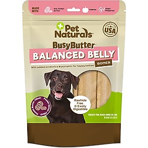 Pet Naturals BusyButter Balanced Belly Pumpkin & Probiotic Peanut Butter Flavored Dog Chews, Medium/Large, 4 count