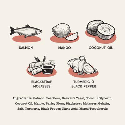 Show full view: Dog Treat Naturals Salmon & Mango Superfood Fresh All Stages Natural Chew Stick Dog Treats, 24-oz bag slide 3 of 8