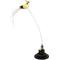 Show in main carousel: Playology Suction Cup Spring Bird Cat Toy slide 4 of 8