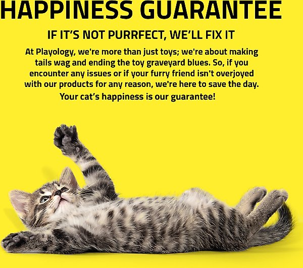 Show full view: Playology Motorized Hummingbird/Butterfly Teaser Cat Toy slide 6 of 8
