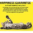 Show in main carousel: Playology Motorized Hummingbird/Butterfly Teaser Cat Toy slide 6 of 8