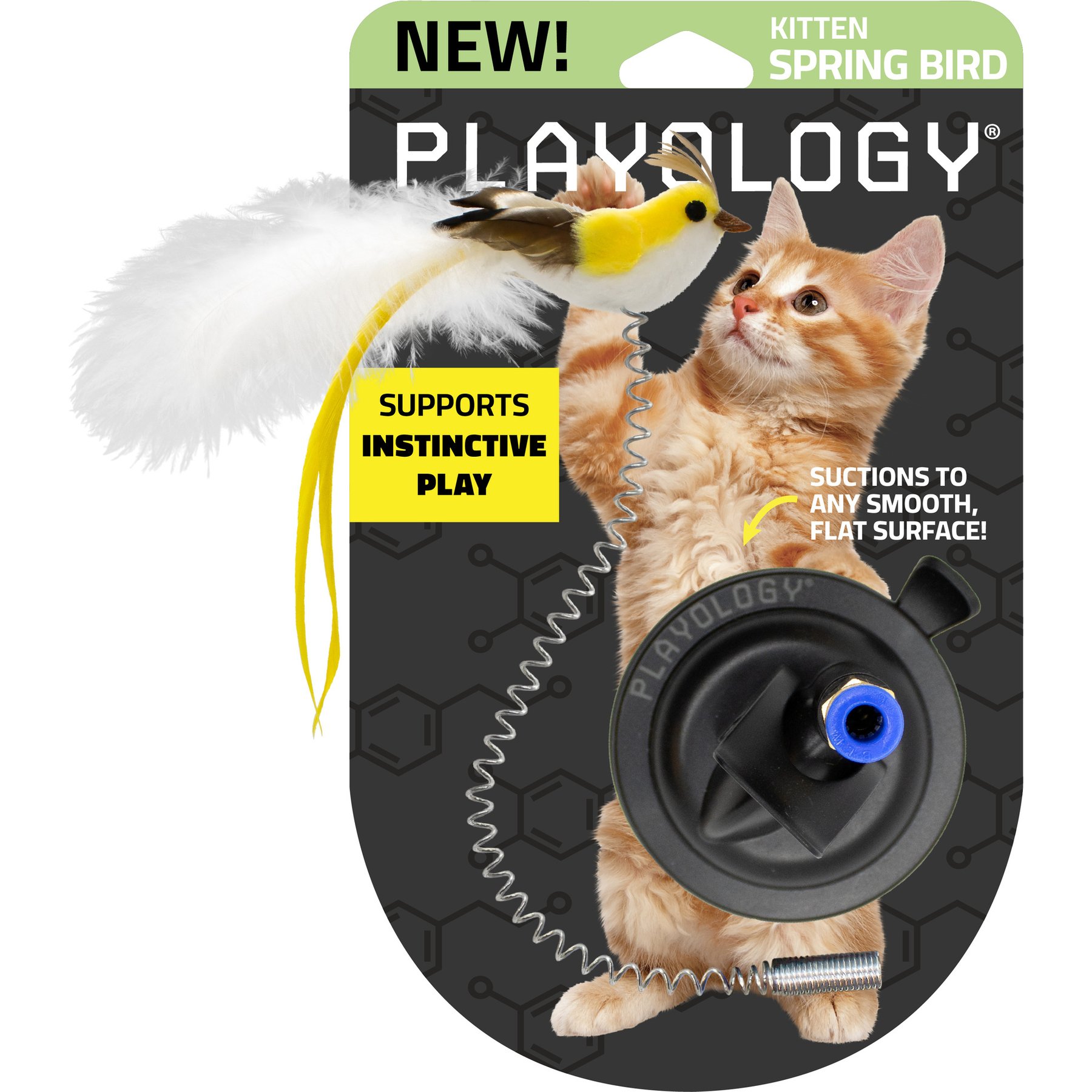 Playology Suction Cup Spring Bird Cat Toy