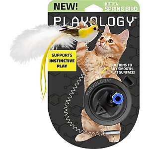 Playology Suction Cup Spring Bird Cat Toy
