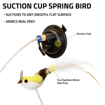 Show full view: Playology Suction Cup Spring Bird Cat Toy slide 2 of 8