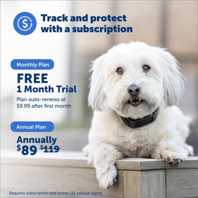 Show full view: PetSafe Guardian GPS 2.0 Wireless Dog Fence & Tracking System slide 6 of 11