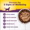 Show in main carousel: Wellness Complete Health Adult Deboned Chicken & Oatmeal Recipe Dry Food + Chicken & Sweet Potato Formula Canned Dog Food slide 8 of 9