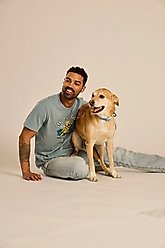 LIFE IS GOOD Men's Best Things Golden Dock Crusher Tee, Small slide 2 of 5