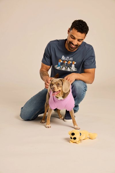 LIFE IS GOOD Men's The Beagles Crusher Tee