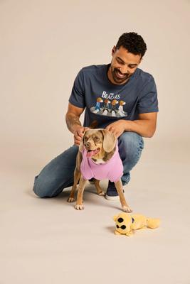 Show full view: LIFE IS GOOD Men's The Beagles Crusher Tee, X-Large slide 4 of 4