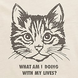 LIFE IS GOOD Women's Cat Lives Crusher Boxy Tee, Large slide 2 of 4