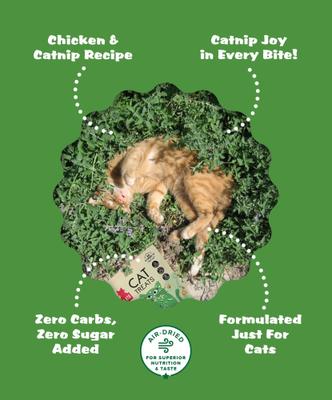 Show full view: Plato Chicken with Catnip Recipe Air-Dried Cat Treats, 2.5-oz bag slide 5 of 9