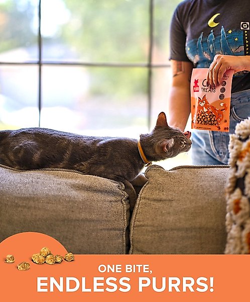 Show full view: Plato Air-Dried Cat Treats Chicken Recipe 2.5oz, 2.5oz slide 6 of 9