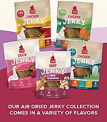 Plato Beef Jerky with Mushroom Dog Treats, 16-oz bag slide 2 of 8