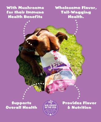 Show full view: Plato Beef Jerky with Mushroom Dog Treats, 16-oz bag slide 5 of 9