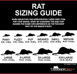 Rodent Pro Frozen Reptile Food, Pup Rats, 25 count slide 2 of 5