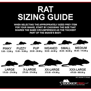 Rodent Pro Frozen Reptile Food, Medium Rats, 10 count