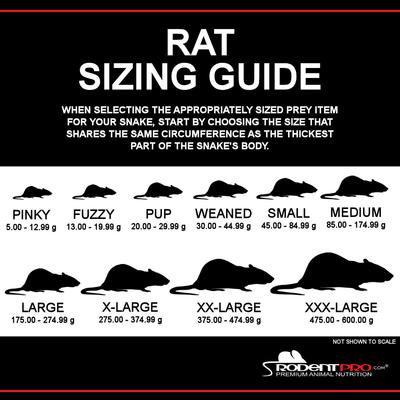 Show full view: Rodent Pro Frozen Reptile Food, Pup Rats, 25 count slide 4 of 5