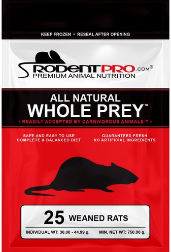 Frozen Rat Feeding Anti Oxidants Reference: Frozen Mice Rats For Reptiles