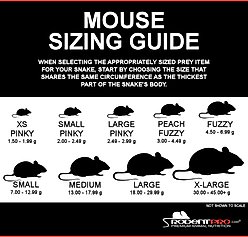 Rodent Pro Frozen Reptile Food, Peach Fuzzy Mice, 100 count slide 2 of 5