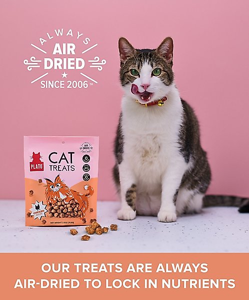 Show full view: Plato Air-Dried Cat Treats Chicken Recipe 2.5oz, 2.5oz slide 4 of 9