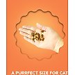 Show in main carousel: Plato Air-Dried Cat Treats Chicken Recipe 2.5oz, 2.5oz slide 7 of 9