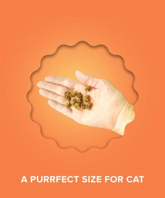 Show full view: Plato Air-Dried Cat Treats Chicken Recipe, 2.5-oz slide 7 of 9