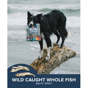 Plato Wild Caught Baltic Sprat Dog Treats, 3-oz bag