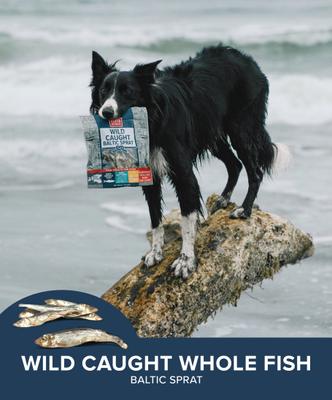 Show full view: Plato Wild Caught Baltic Sprat Dehydrated Dog Treats, 7.5-oz bag slide 6 of 8