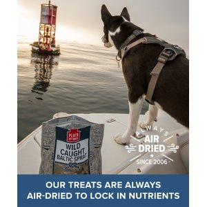 Plato Wild Caught Baltic Sprat Dog Treats, 3-oz bag