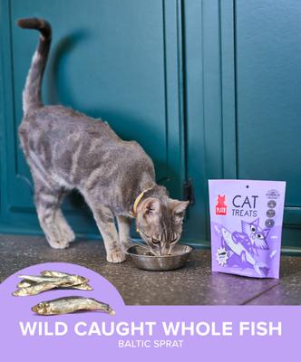 Show full view: Plato Air-Dried Cat Treats Baltic Sprat, 1.5-oz slide 6 of 10