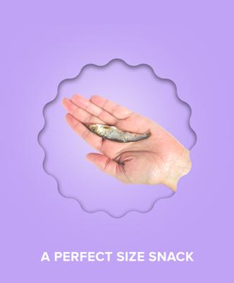 Show full view: Plato Air-Dried Cat Treats Baltic Sprat, 1.5-oz slide 7 of 10