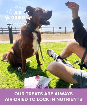 Show full view: Plato Beef Jerky with Mushroom Dog Treats, 16-oz bag slide 4 of 9