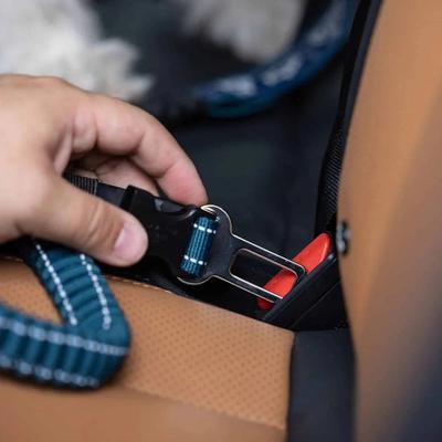 Show full view: PawTrk TrailLead Dog Leash, Forest Green, One Size slide 6 of 8